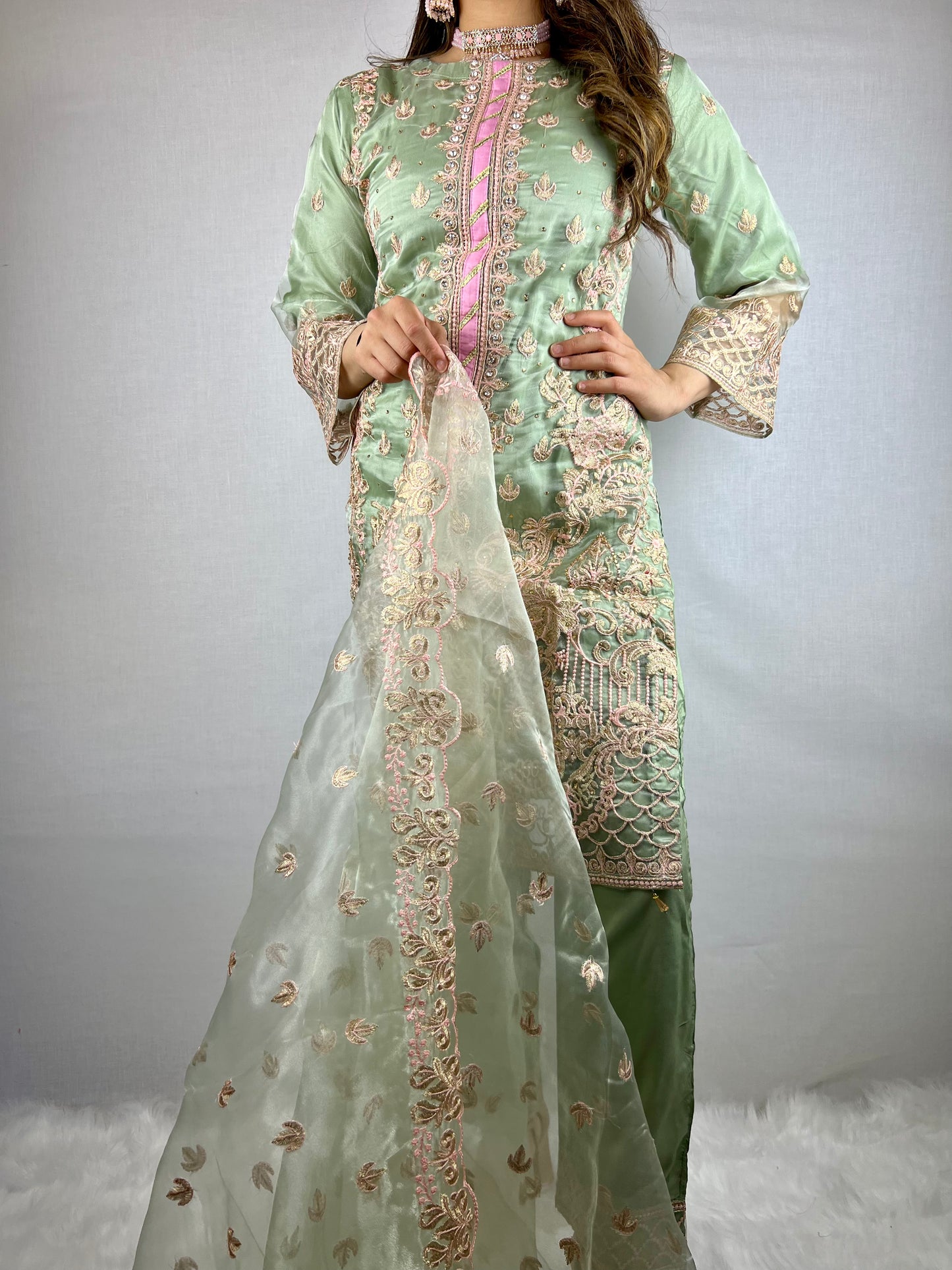 Pastel Green Embroidered Salwar Suit