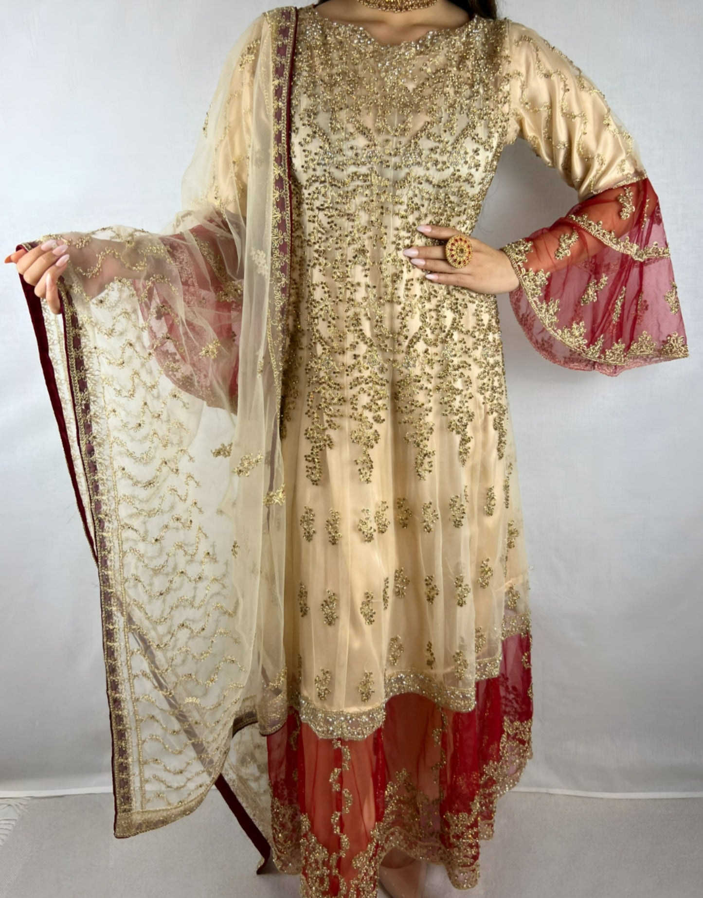 Cream & Red Georgette Anarkali Dress