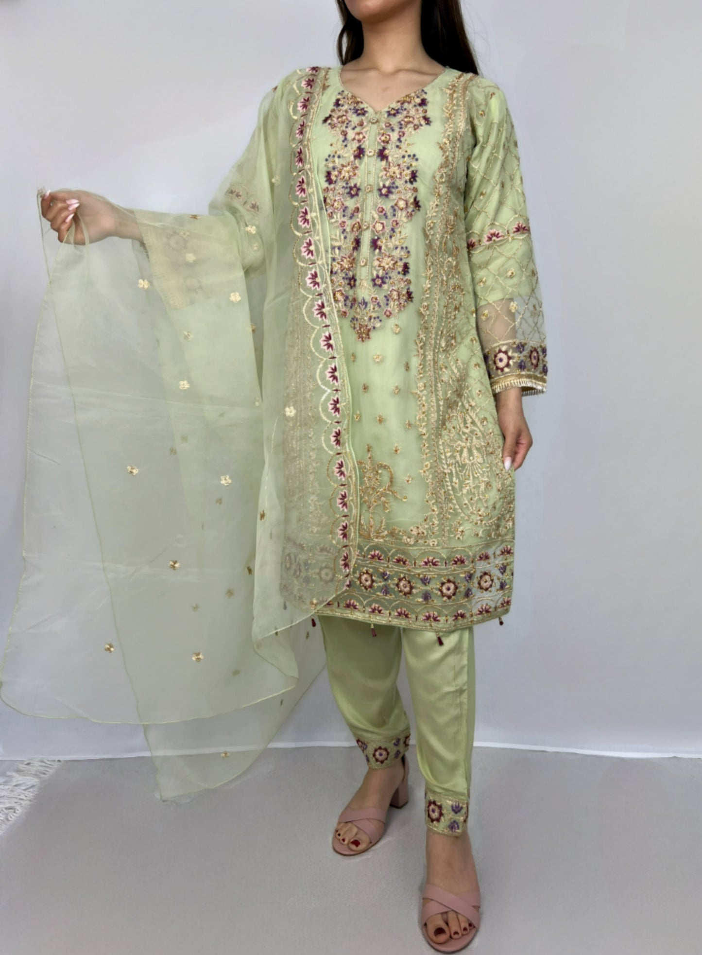 Light Green Organza Straight Cut Suit