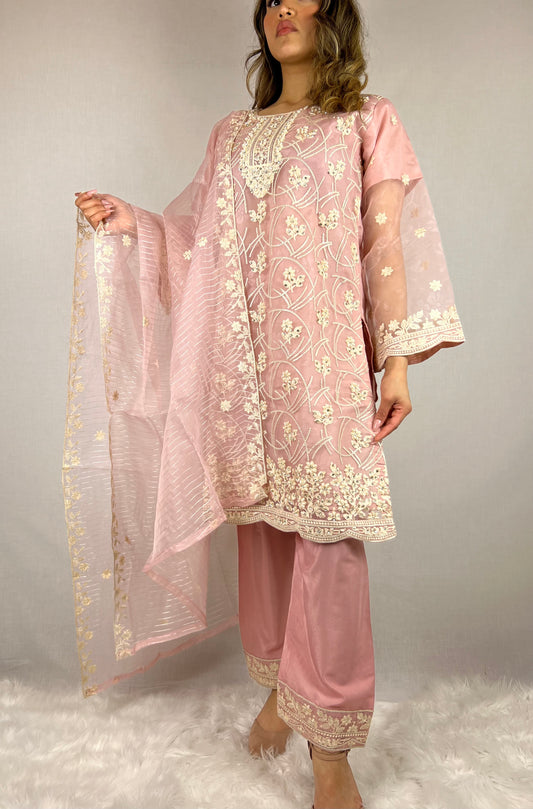 Baby Pink Salwar Kameez
