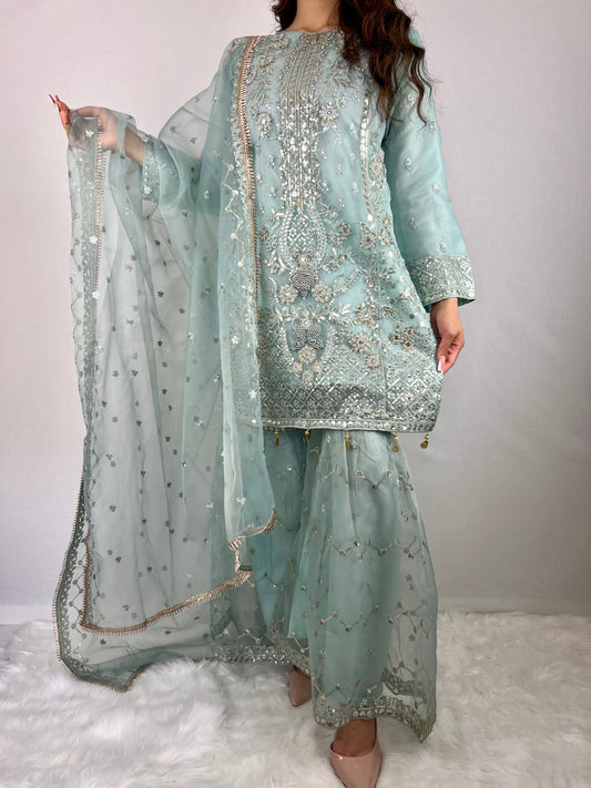 Baby Blue Embroidered Sharara