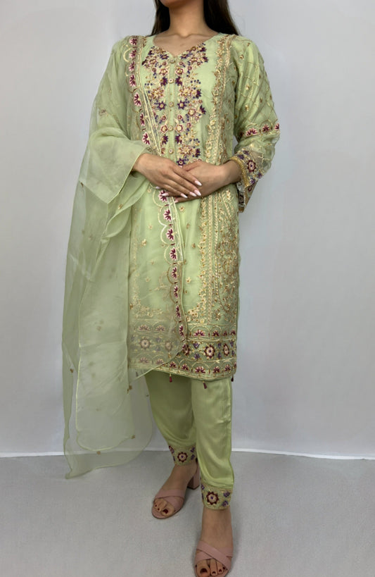 Light Green Organza Straight Cut Suit