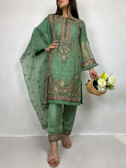 Lawn Green Straight Cut Salwar Kameez